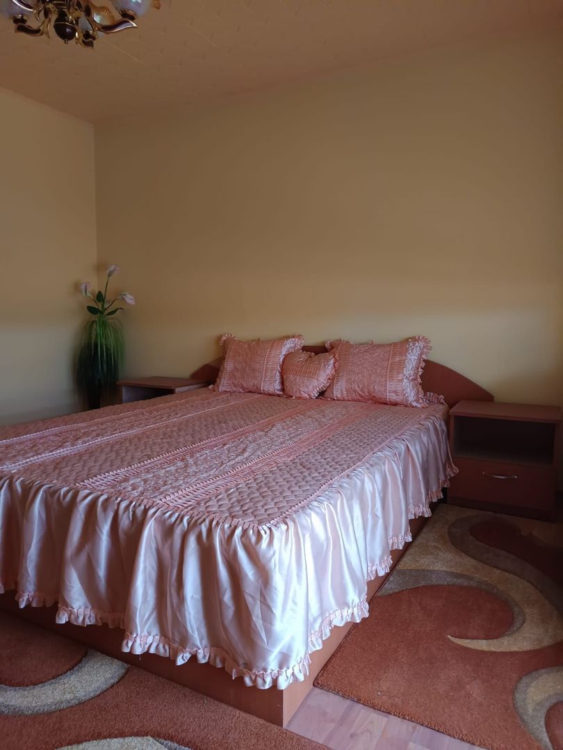 Vilă P+E de vânzare în Valea lui Mihai – 233 mp, teren 733 mp - Poză 22