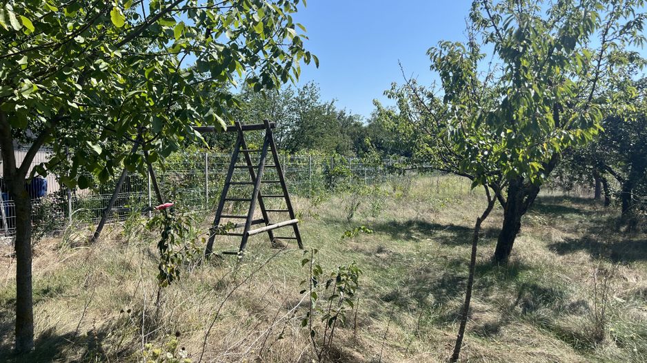 Vila superba cu teren Crevedia - Darza - Poză 14