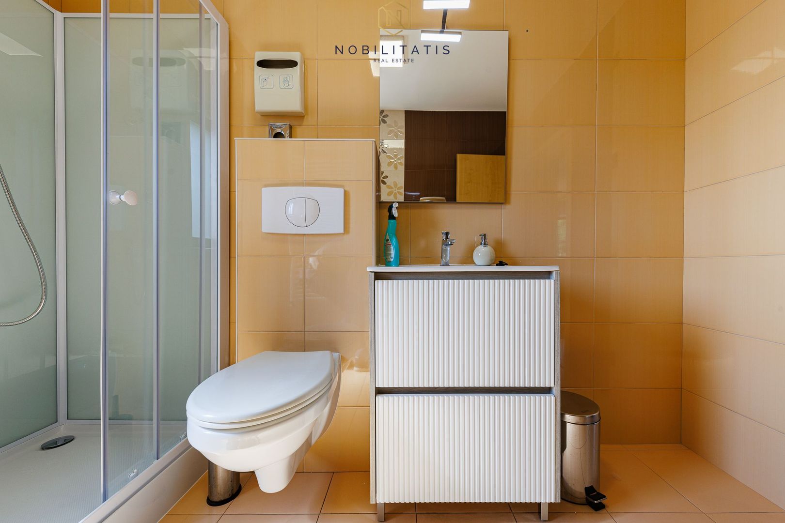 Oferta inchiriata - Cladire comerciala - Fropin & Lidl | 10 locuri parcare - Poză 26