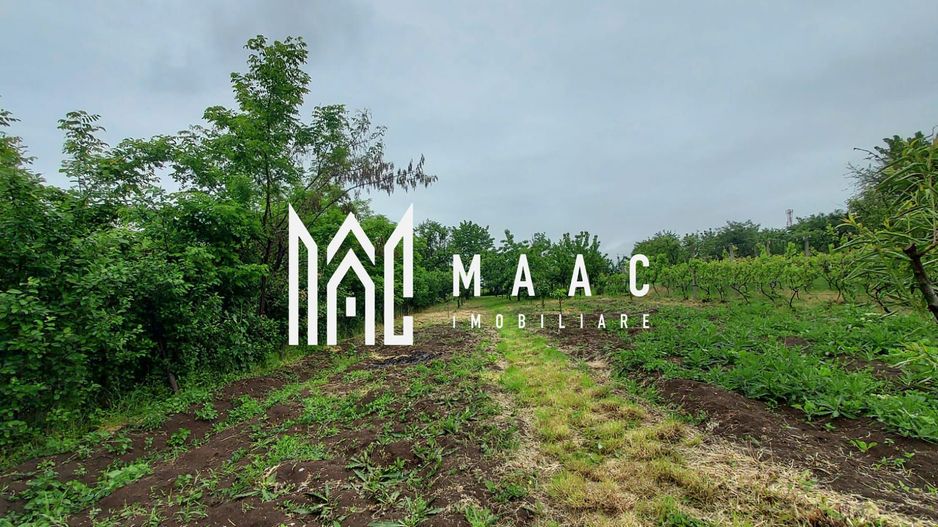 Casa | 1331 mp Teren | Miercurea Sibiului | - Poză 7