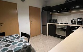 Apartament 2 camere – Turnișor, Str. Frunzei - Poză 12