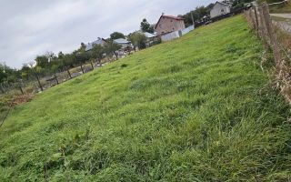 Teren intravilan de vânzare în Dumbrava, Ciurea, Iași - Poză 4
