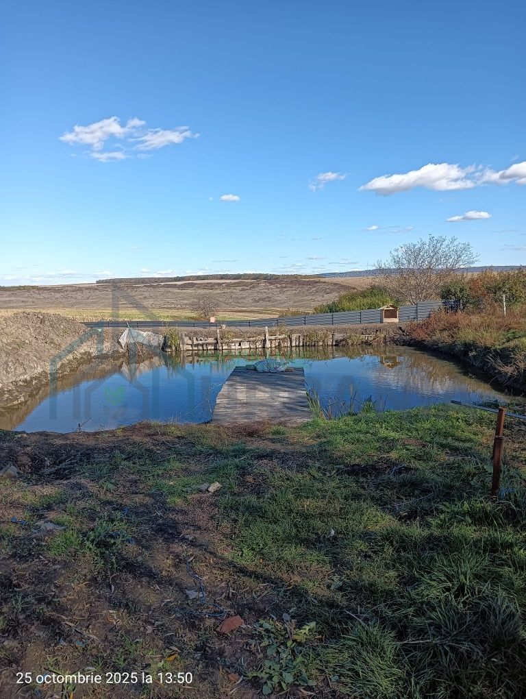 2 iazuri de vanzare - Poză 1