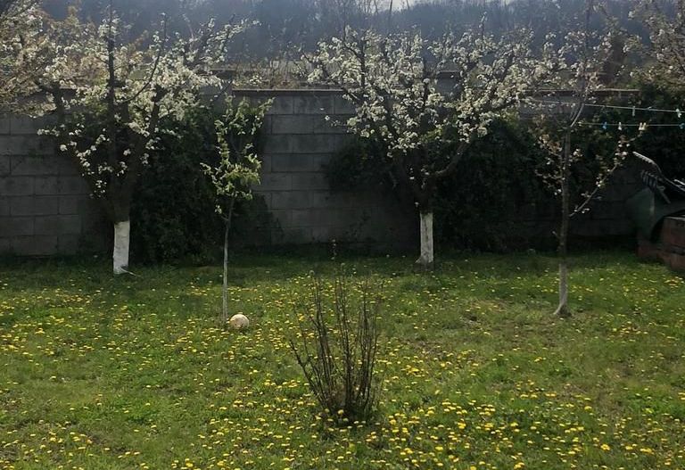 Casa individuala-zona Dumbravita lac-comision zero - Poză 16