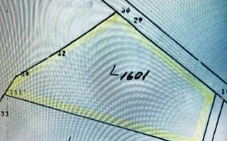 Teren intravilan de 1.125 mp la liziera Pădurii Gheorghe Doja – Oradea - Poză 2