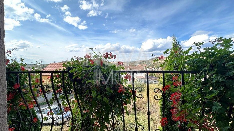 Casa individuala de vanzare - Sura Mare - Poză 9