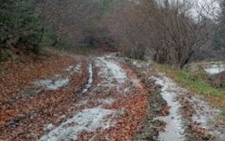 Oportunități de Investiție în Terenuri Sebesul de Sus - Poză 2