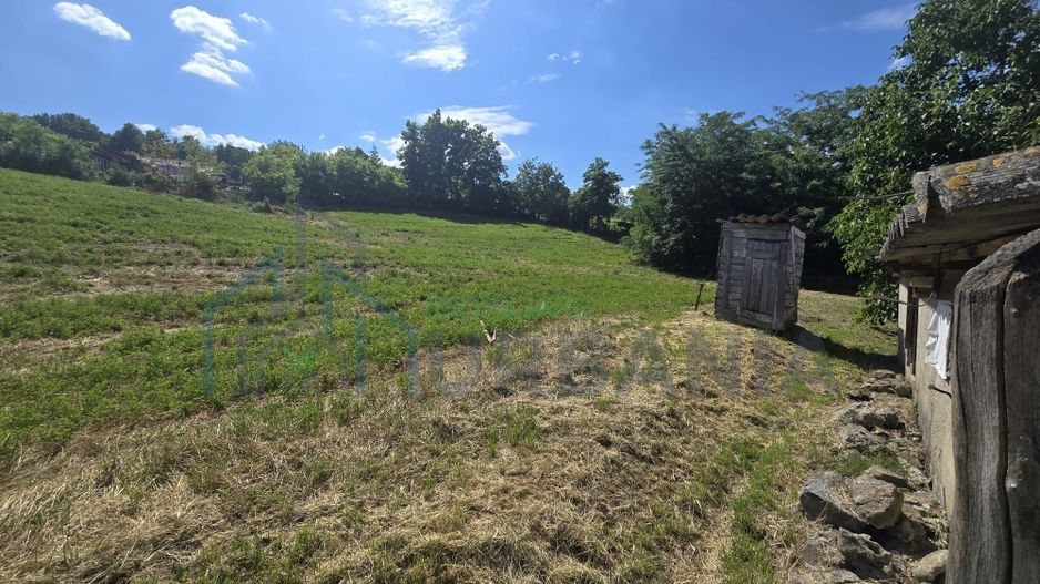 Casă cu teren de 1,4 hectare și vie, în Raducaneni - 3 camere - Poză 6