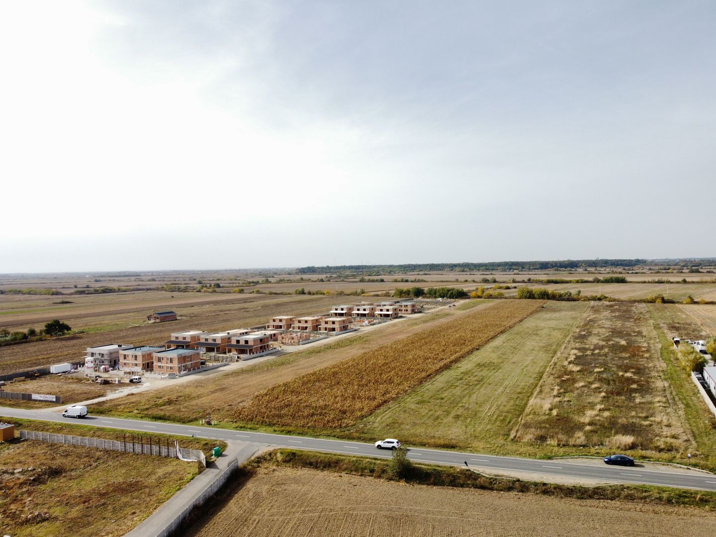 Teren PUZ rezidential-Bucovat (Remetea Mare) - Poză 1