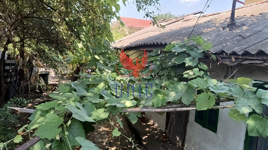 Teren 980 mp, 2 deschiderizona Drumul Muntenilor pret excelent - Poză 3