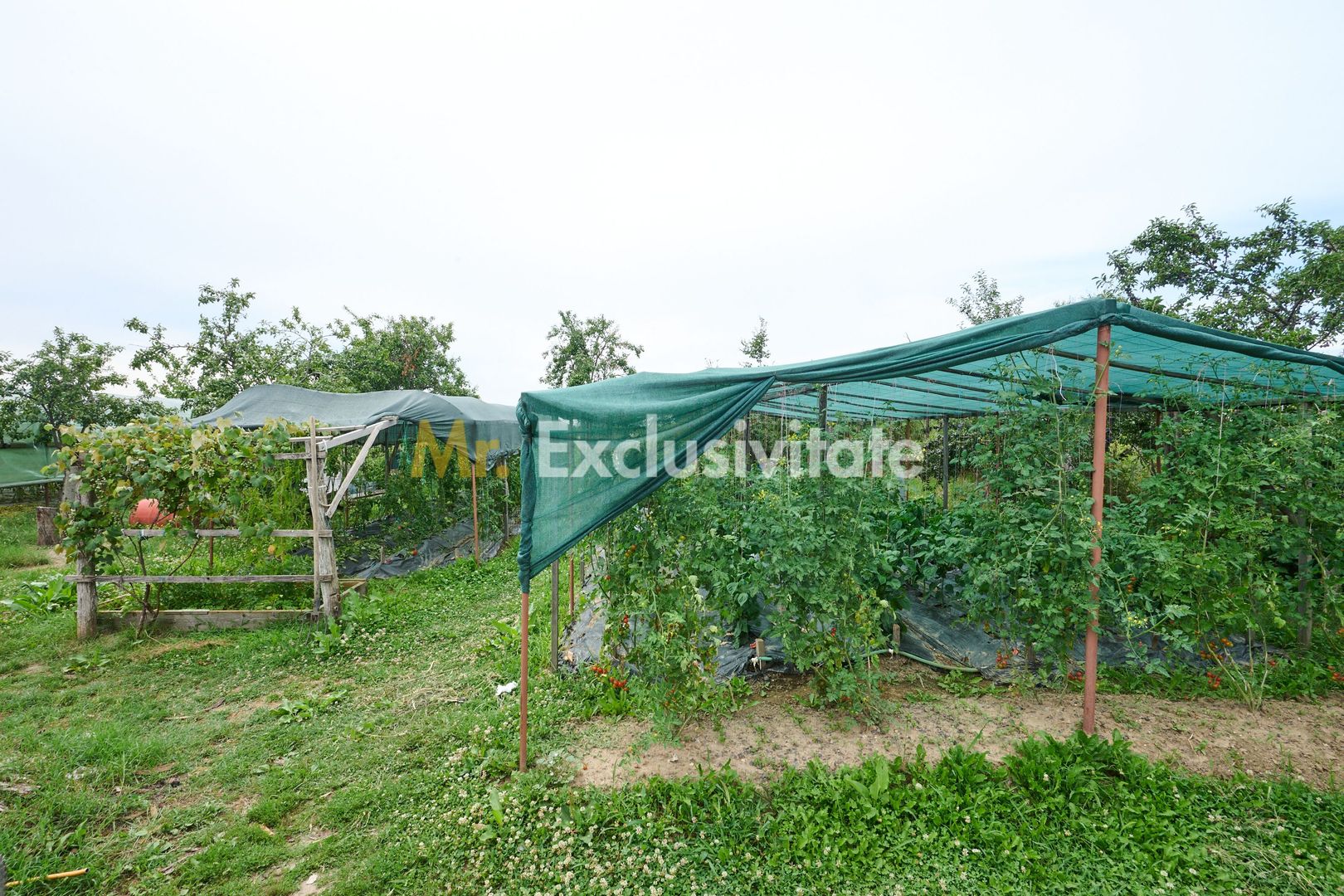 Casă cu teren generos – Vedea-Arges - Poză 33