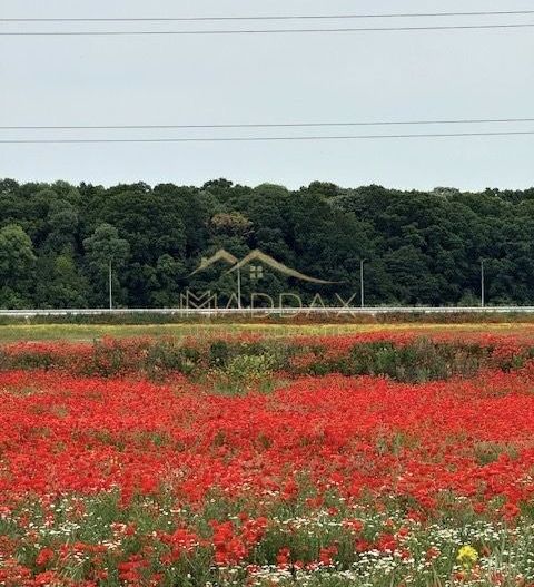 Teren Extravilan ***8500 mp***Zona rezidentiala//Ostratu//Corbeanca - Poză 1