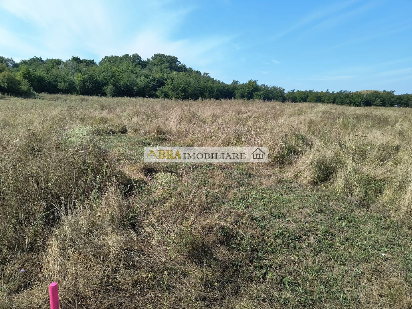 Teren intravilan investitie turism balnear fonduri europene - Poză 5