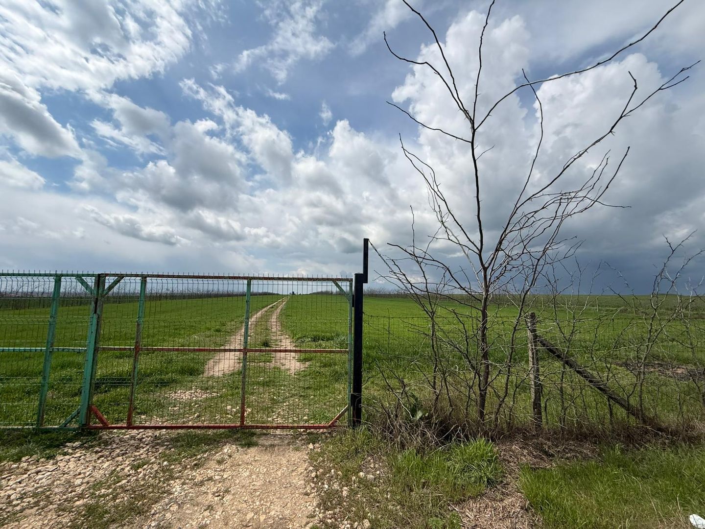 Teren de vanzare in Săcele ideal pentru silozuri, fermă 6 ha - Poză 10