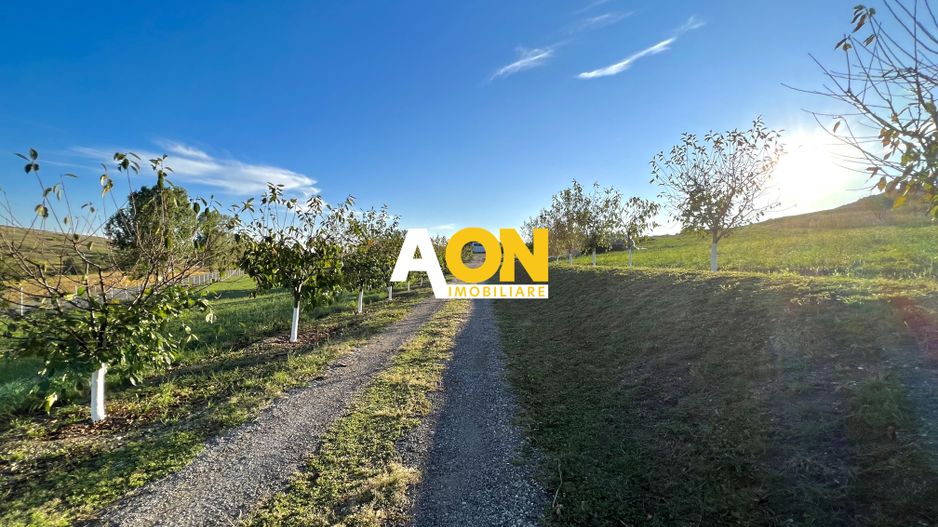 Ferma de vanzare cu 550MP utili si 27.500MP teren la asfalt - Poză 19