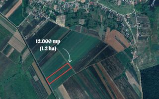 PROSELNICI – Teren extravilan 12.000 mp - Poză 1