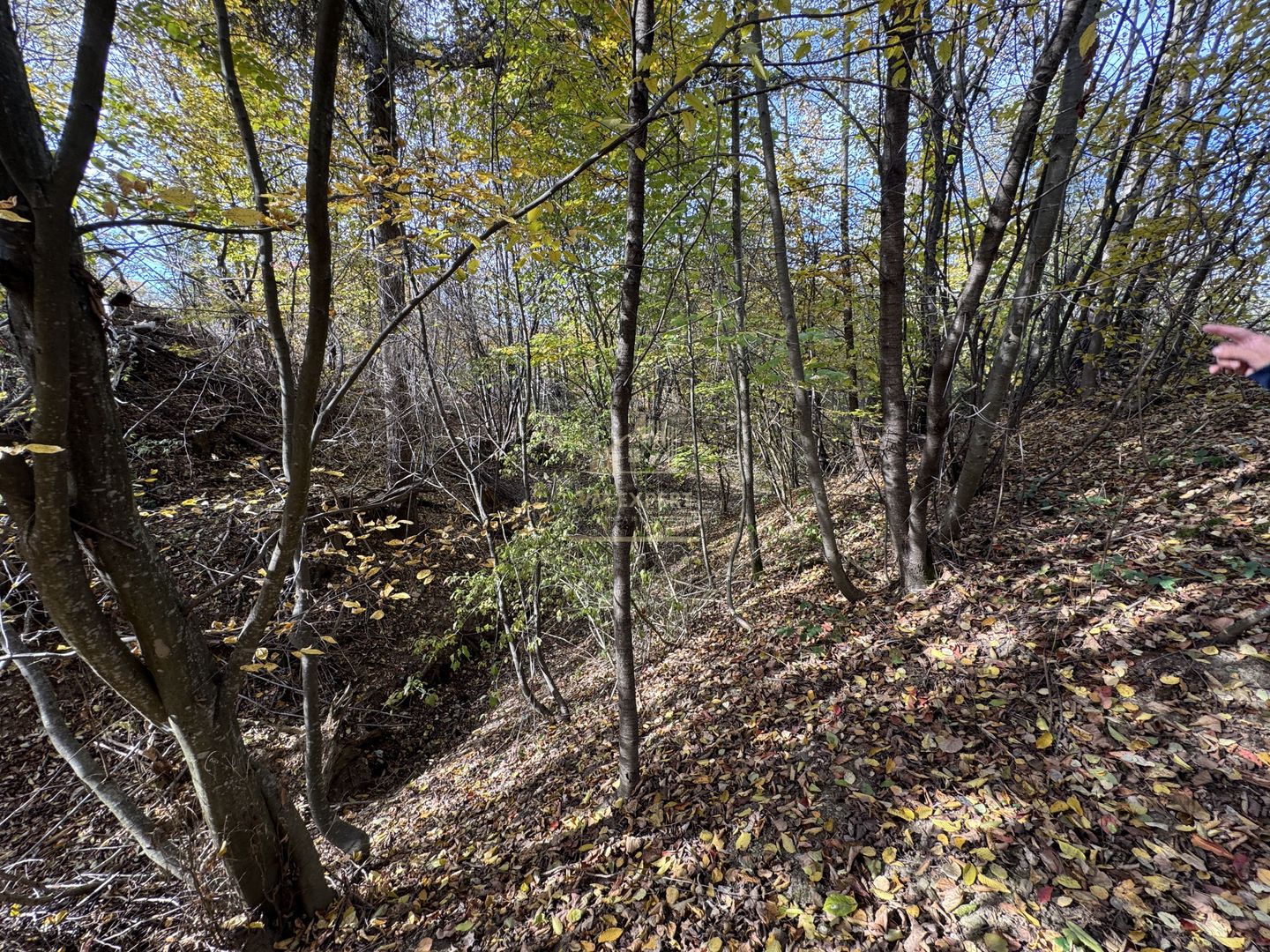 TEREN INTRAVILAN 13167 MP BUGHEA DE SUS ARGES - Poză 22