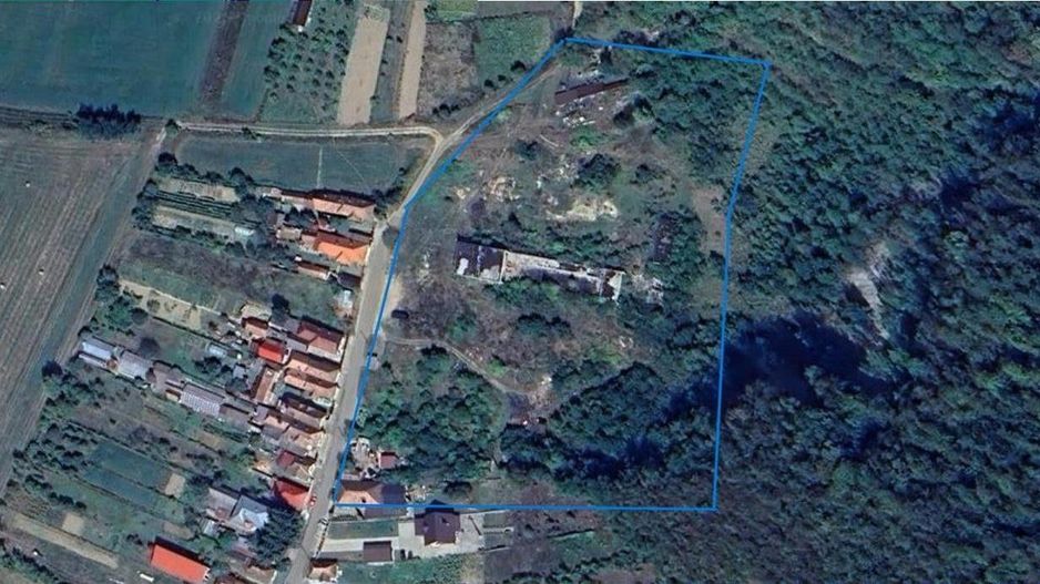 Domeniu de 13.500 mp: potential investitie fabrica de caramida, Viforoasa, Mures - Poză 2