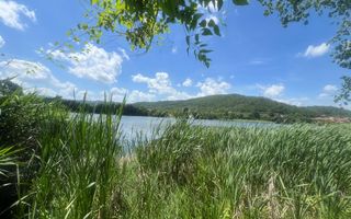 Teren Fedelesoiu/3200 mp/Intravilan - Poză 5