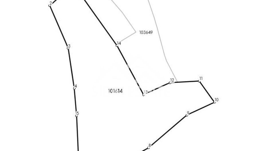 Teren constructii casa/cabana 5271 mp Valea Hrtibaciului Nucet - Poză 4