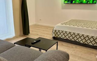 STUDIO BAICULUI, PRIMA INCHIRIERE, LOC PARCARE, CURTE PROPRIE 16 MP - Poză 4