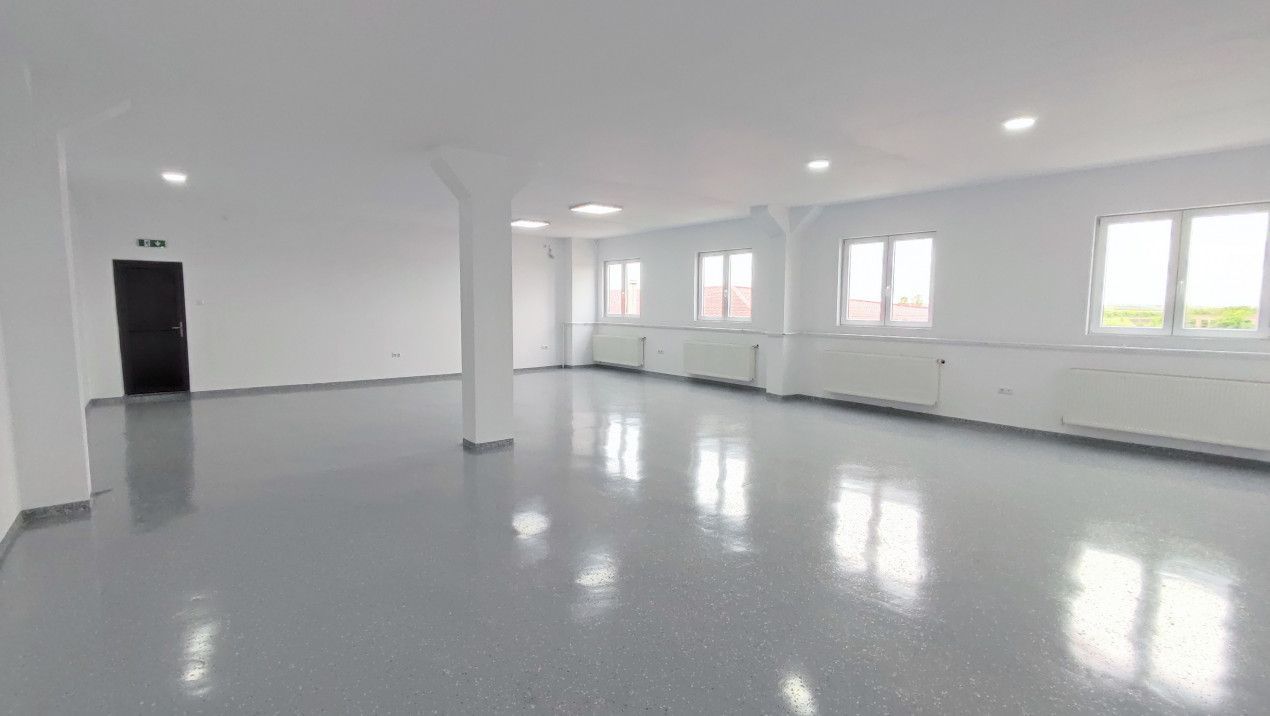 Inchiriere Spații de Birouri/Producție - Str. Uzinei - Carei - Comision 0% - Poză 2