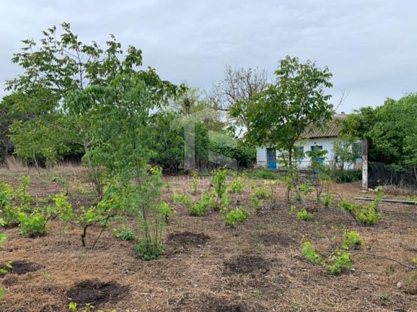 Teren intravilan 2562mp Loc 23 August | Ideal locuiță sau casă vacanță - Poză 6