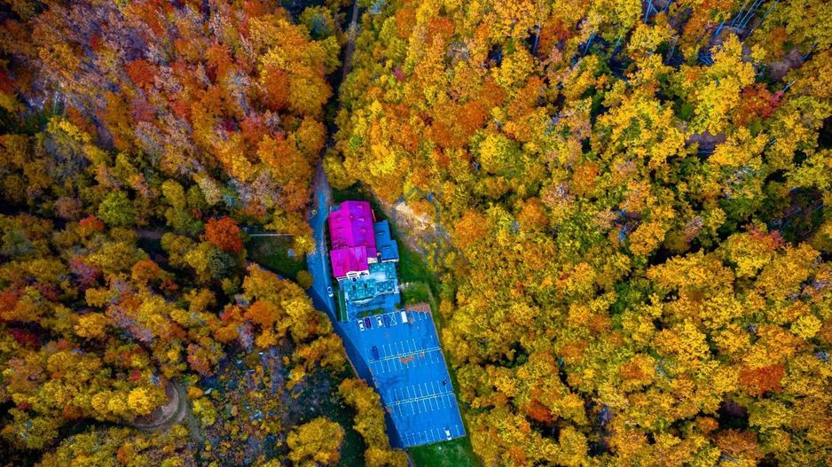 Pensiune Baia Mare - Poză 12