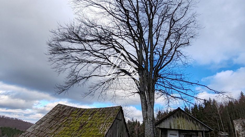 19.5 Hectare în Zona Turistică Montană – Bulz, Bihor - Poză 8