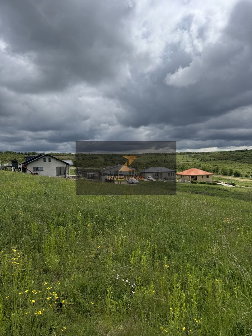 Teren intravilan Dealul Lavandei din Beldiceanu spre Săldăbagiu - Poză 1