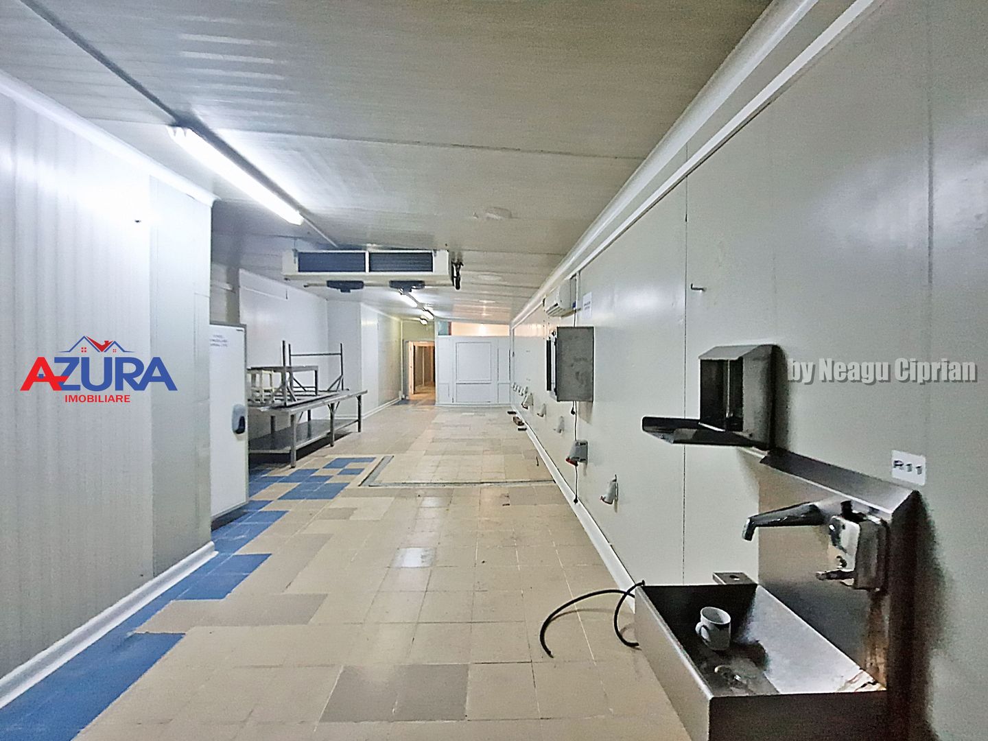 AZURA Imobiliare - Hala Fabrica de procesare Carne - Poză 1