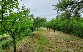 Casa | 1331 mp Teren | Miercurea Sibiului | - Poză 11