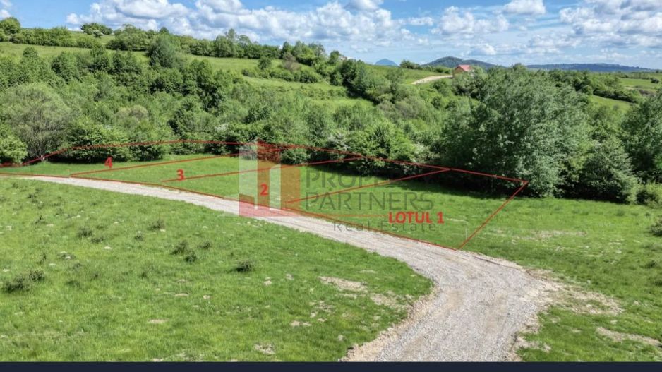 Teren intravilan 500 mp sau 1000 mp în Zarnesti –Tohanita incepand cu 17500 euro - Poză 2