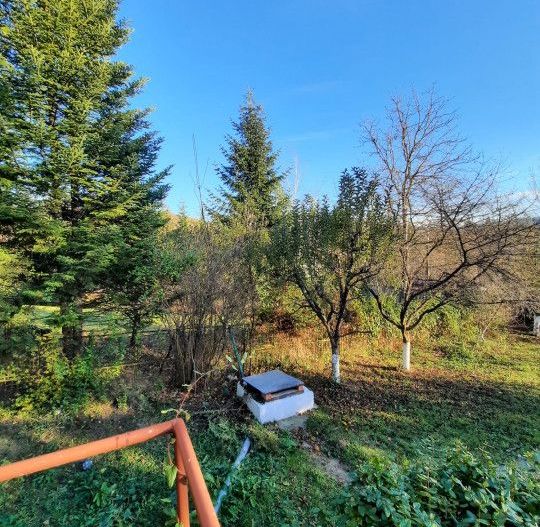 Casa 4 camere, teren 1960m2, CT, Provita, Prahova - Poză 24