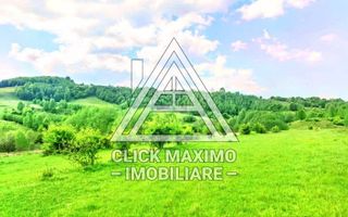 25.000 mp TEREN Ciucea – Calea Lata, jud. Cluj - Poză 3