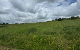 Teren intravilan Dealul Lavandei din Beldiceanu spre Săldăbagiu - Poză 2