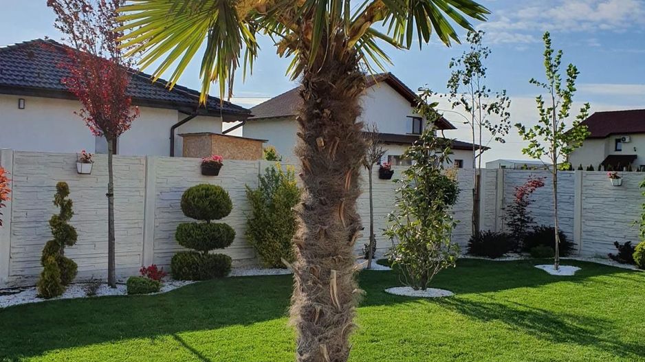 Casa individuala pe plan parter in Sanandrei - Poză 14