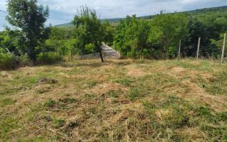 Teren intravilan 1.200 mp cu casă veche 77 mp, sat Goruni, comuna Tomești, județul Iași - Poză 10