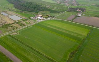 Teren extravilan de 22500mp Zona Ineu - Poză 5