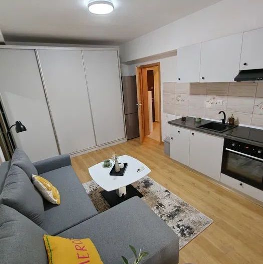 STUDIO- PIATA SUDULUI, PET-FRIENDY, DORMITOR SEPARAT, METROU, CENTRALA - Poză 3