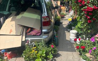 Casa individuala 4 camere- 133mp utili, teren 1052mp - Poză 5