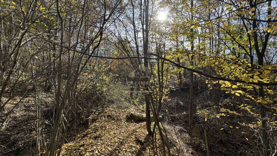 TEREN INTRAVILAN 13167 MP BUGHEA DE SUS ARGES - Poză 17