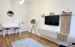 Apartament 1 camera ultracentral– renovat, într-o curte privată. - Poză 7