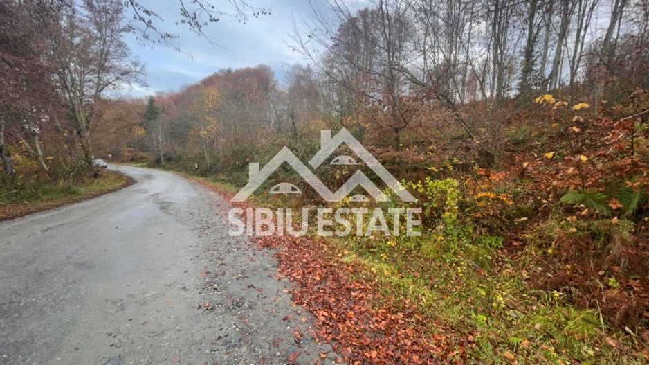 Oportunitate de investiție – Teren pentru hotel / pensiune pe Valea Avrigului - Poză 7