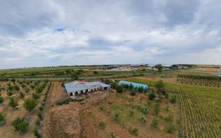 Livadă de 3,6 hectare în Iratoșu – Oportunitate - Poză 9