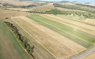 Teren extravilan | 19.000 mp | Ghidfalău - Poză 11