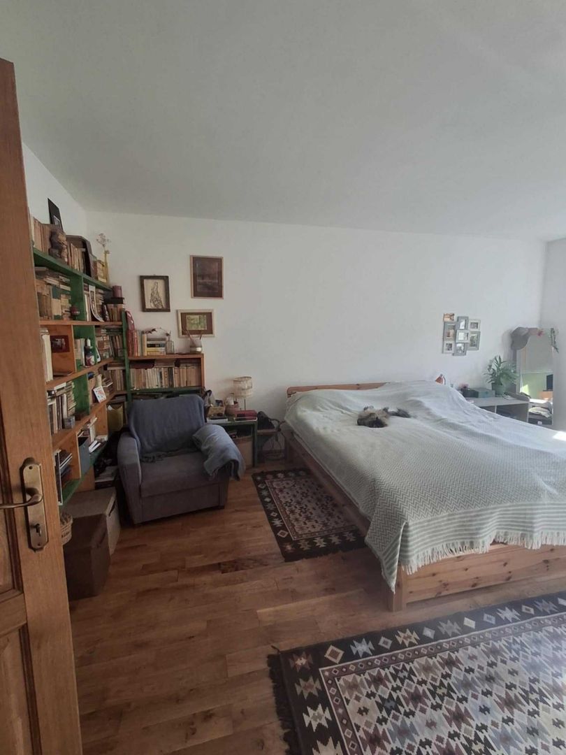 Casă cu grădină în centrul orașului Satu Mare - Poză 7