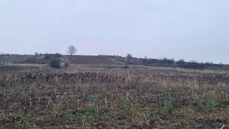 Teren 5096 mp extravilan Oncea/Episcopia Oradea - Poză 5