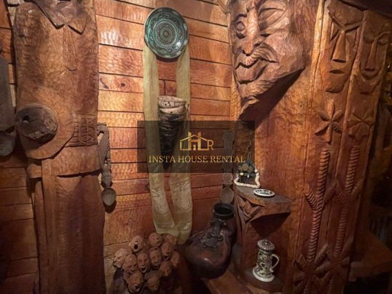 Vila 10 camere Calea Calarasi / Unirii - Poză 23