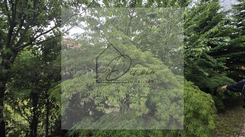 Vila 5 camere LUX Voluntari - Cartier Henri Coanda - Poză 3